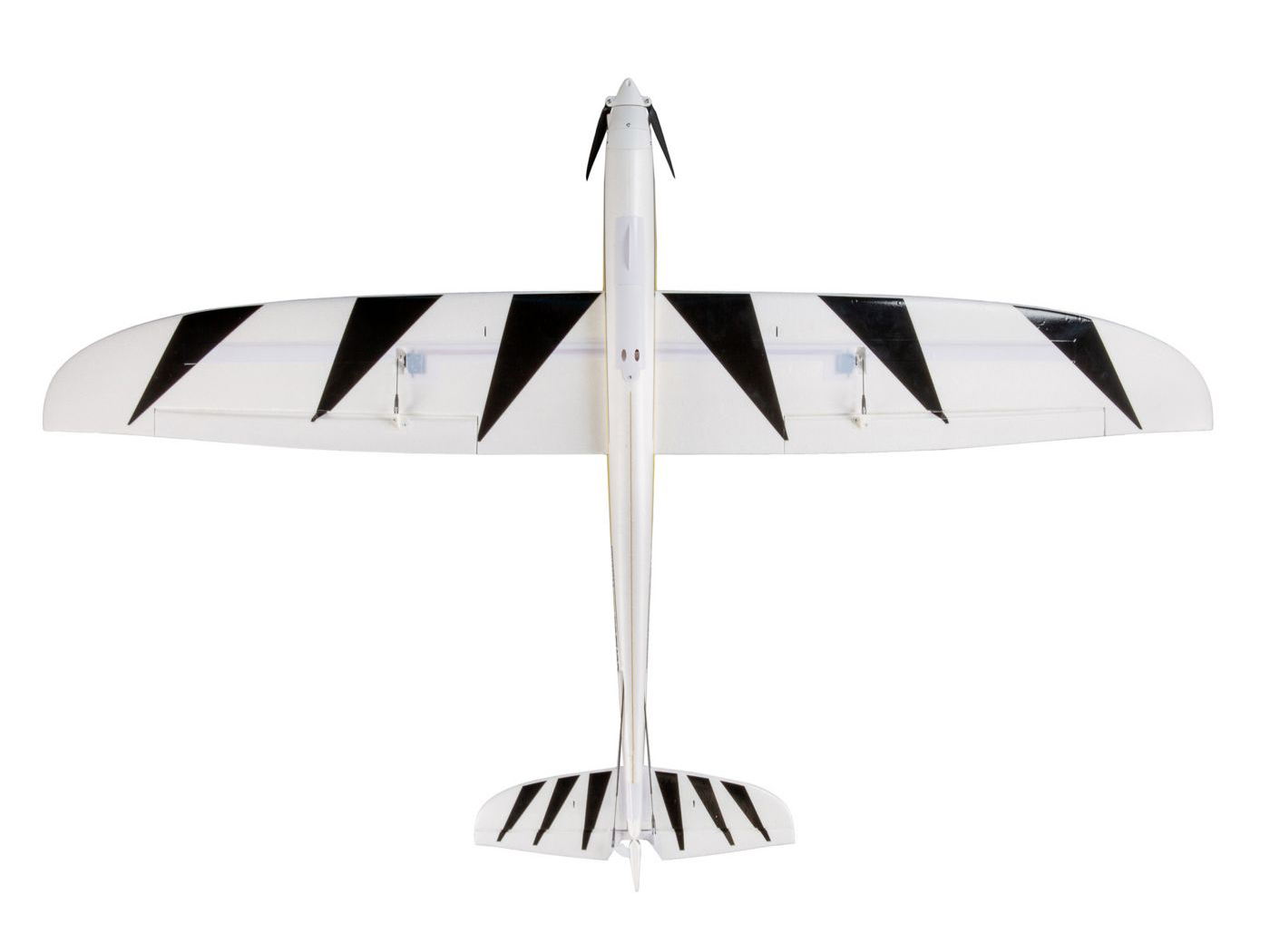 Conscendo Evolution 1.5m BNF Basic-7