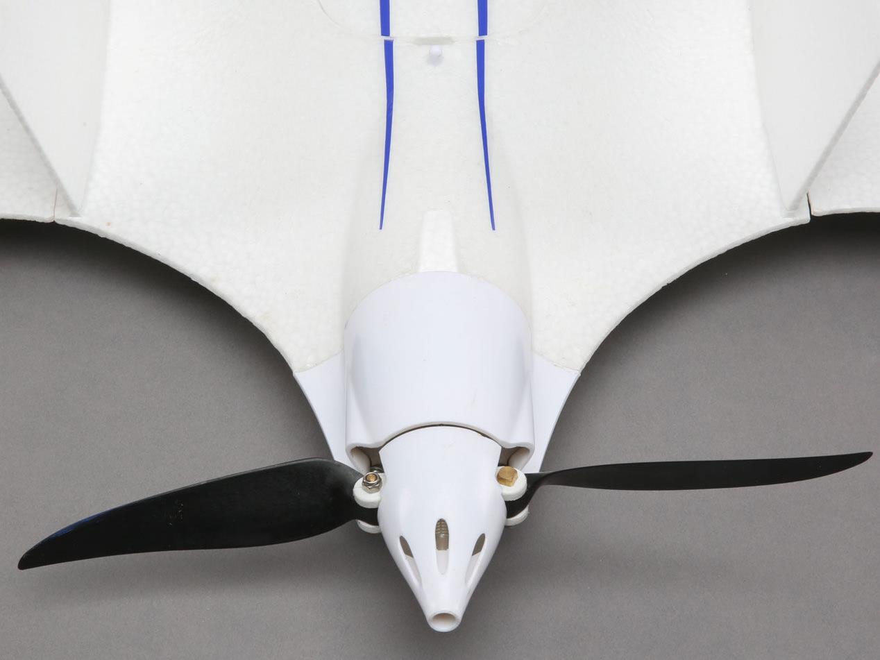 Opterra 2m Wing BNF Basic with AS3X and SAFE Select-16