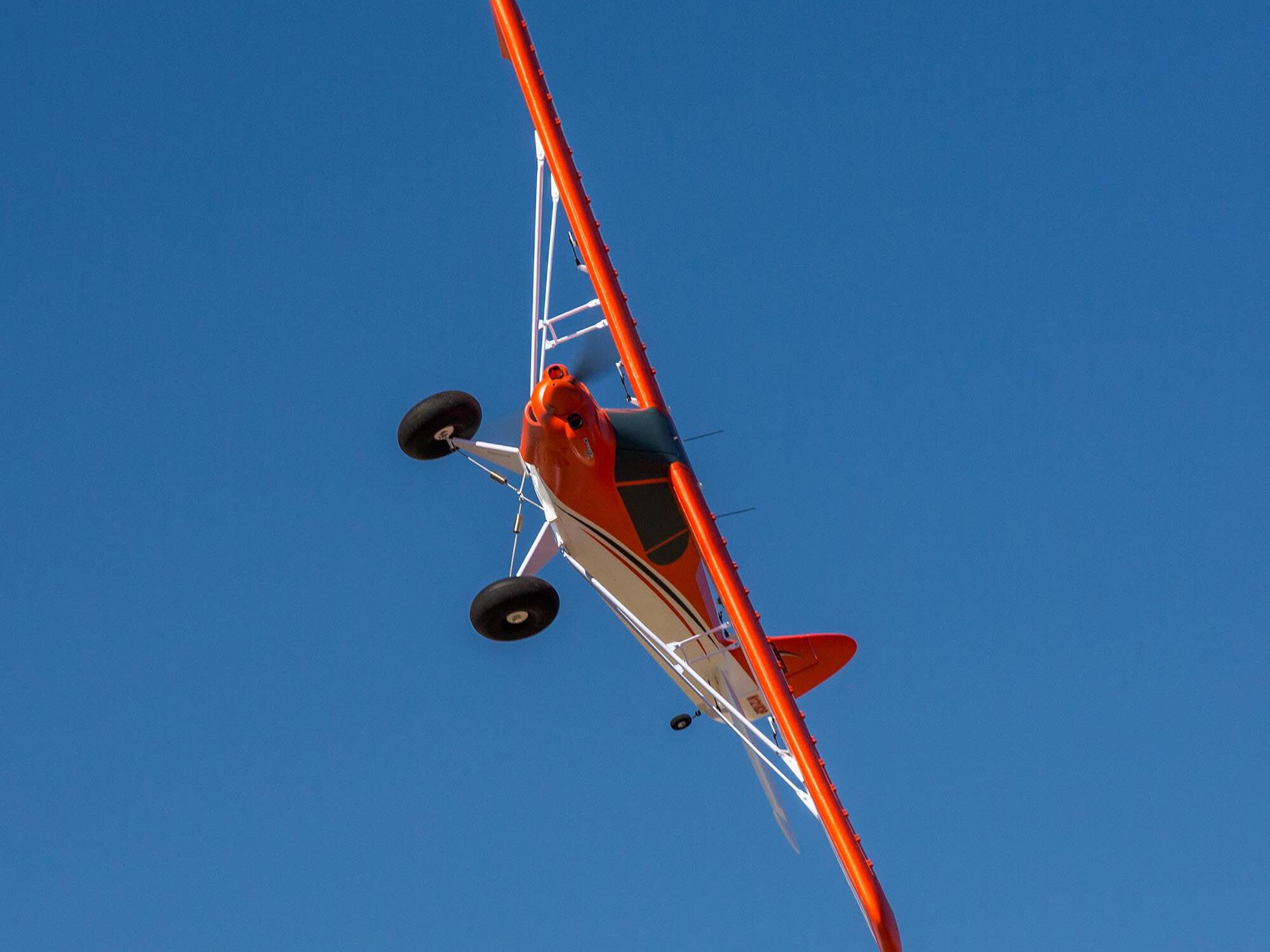 Carbon-Z Cub SS 2.1m BNF Basic with AS3X and SAFE Select-19