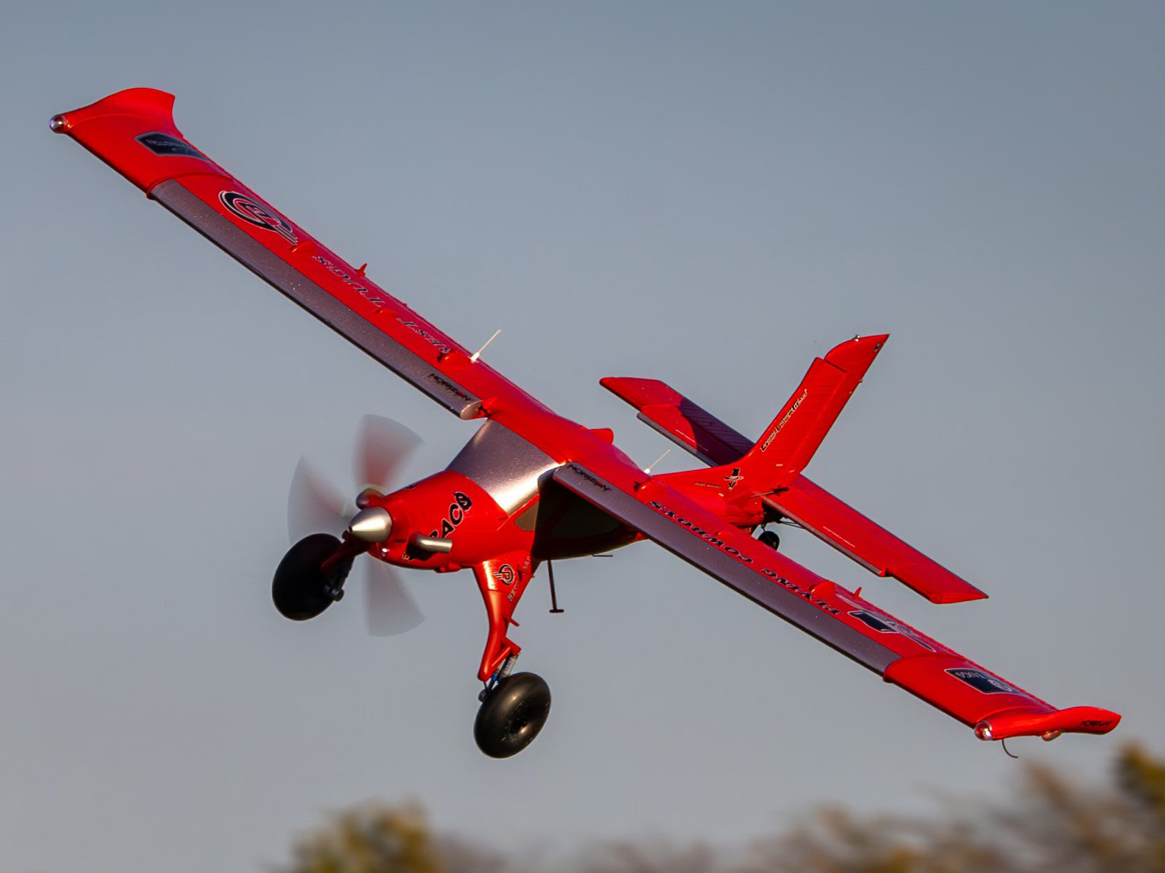 Micro DRACO 800mm BNF Basic-14