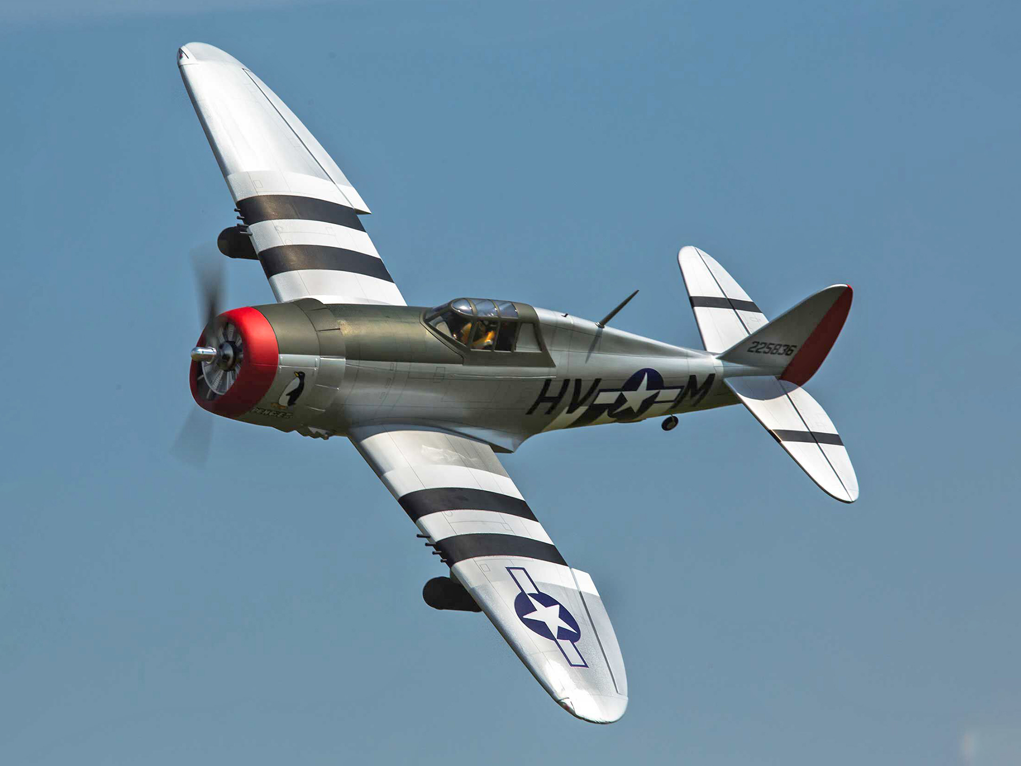 P-47D Thunderbolt 20cc ARF, 67"-26