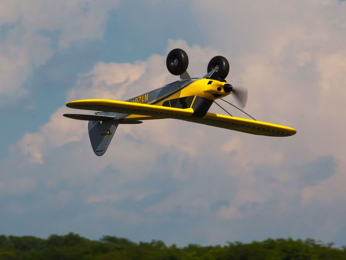 Carbon Cub S2 1.3M BNF Basic-13