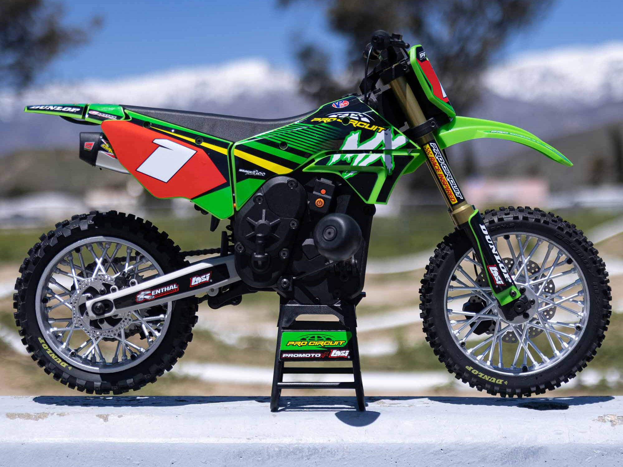 Losi Promoto-MX Motorcycle RTR 1/4 with Battery and Charger, Pro-19