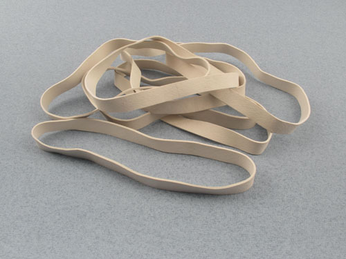wingbands-white-6-150x10mm-pk8