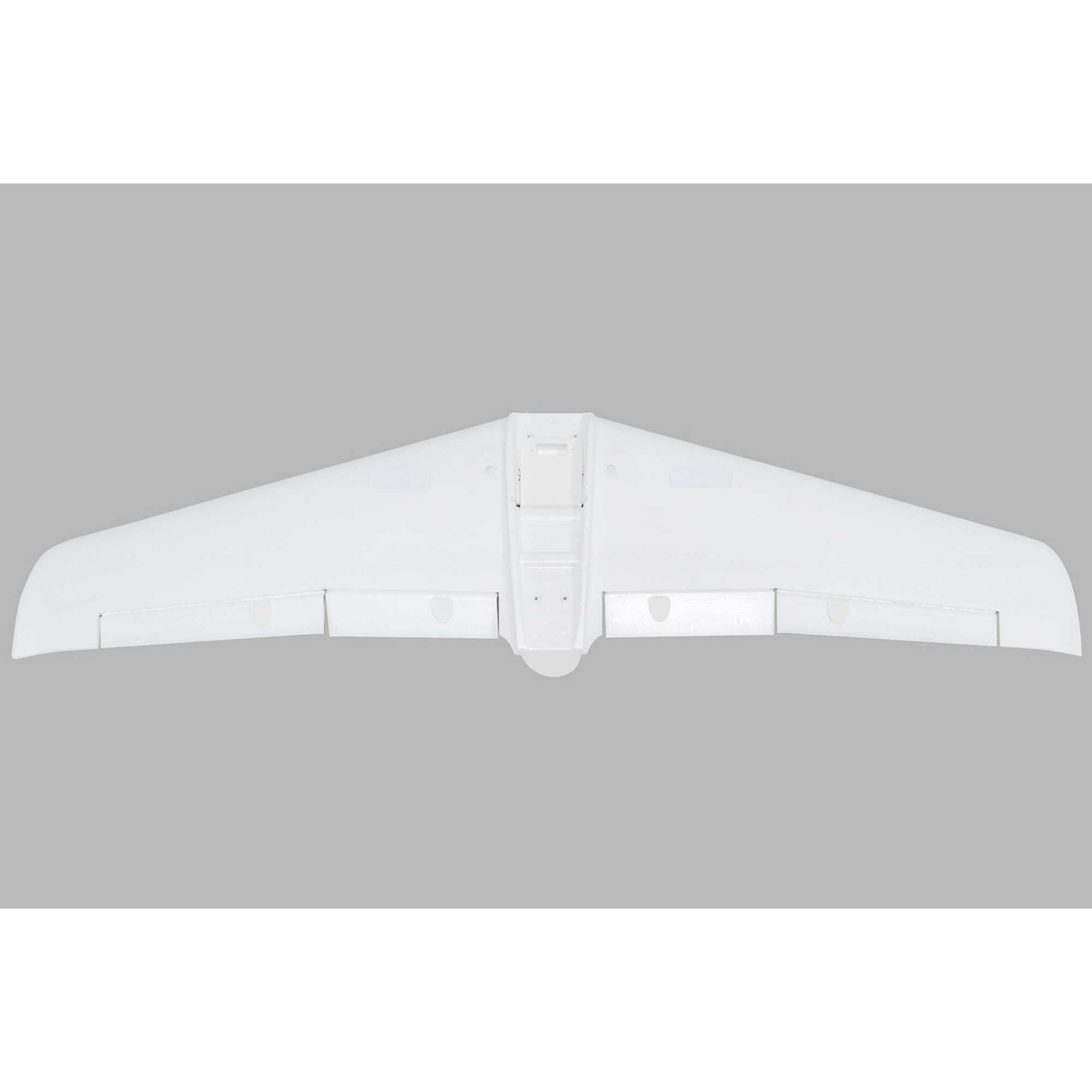 painted-wing-v1200