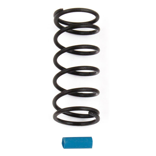 associated-rc12r6-shock-spring-blue-124-lbin