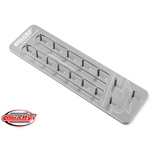 Corally Pinion Caddy M0.6 15 Pinions 3.17mm